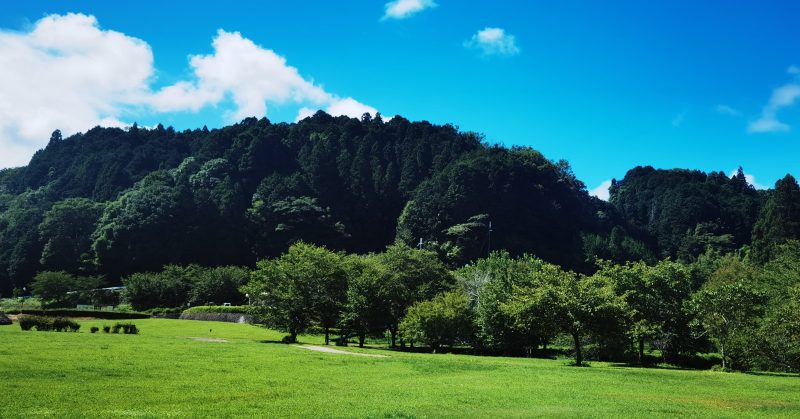 カントリーパーク大川のサイト風景