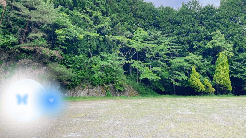 花の郷 滝谷花しょうぶ園のキャンプサイト